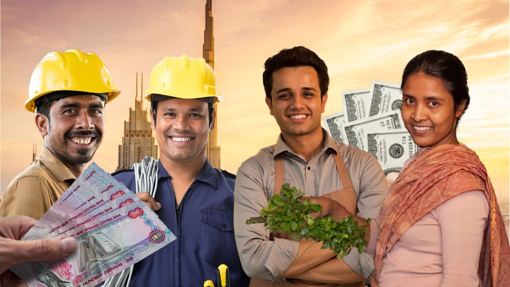 আমিরাতে বাংলাদেশি কর্মীরা কী কাজ করেন, কামাই কত?
