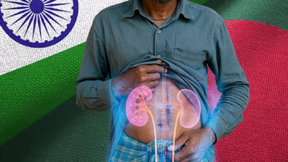 ‘এক কিডনির গ্রাম’: ভারত-বাংলাদেশ সীমান্তে অঙ্গ পাচারের আতঙ্ক