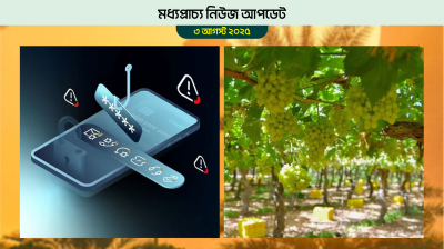 প্রতিদিন দুই লাখ সাইবার আক্রমণ হচ্ছে আমিরাতে