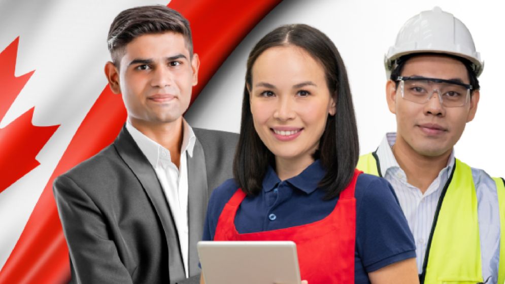 কানাডায় বিদেশি কর্মীর আগমন কমেছে ৫০%