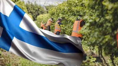 ফিনল্যান্ডে মৌসুমি কাজের অনুমতি: যোগ্যতা, বেতন ও আবেদন পদ্ধতি