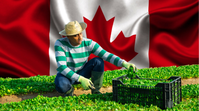কানাডার অস্থায়ী বিদেশি কর্মী কর্মসূচিতে সংস্কারের দাবি
