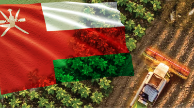 ওমানে নতুন কৃষকদের জন্য ৯৬ মিলিয়ন ডলার বরাদ্দ