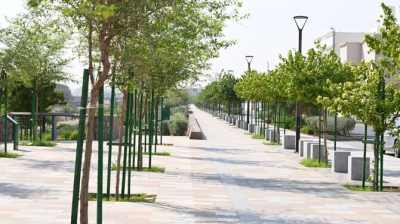 মদিনায় ২১ লাখ গাছ রোপণের উদ্যোগ