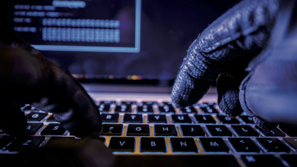 সাইবার অপরাধ মোকাবিলায় সতর্ক উপসাগরীয় দেশগুলো