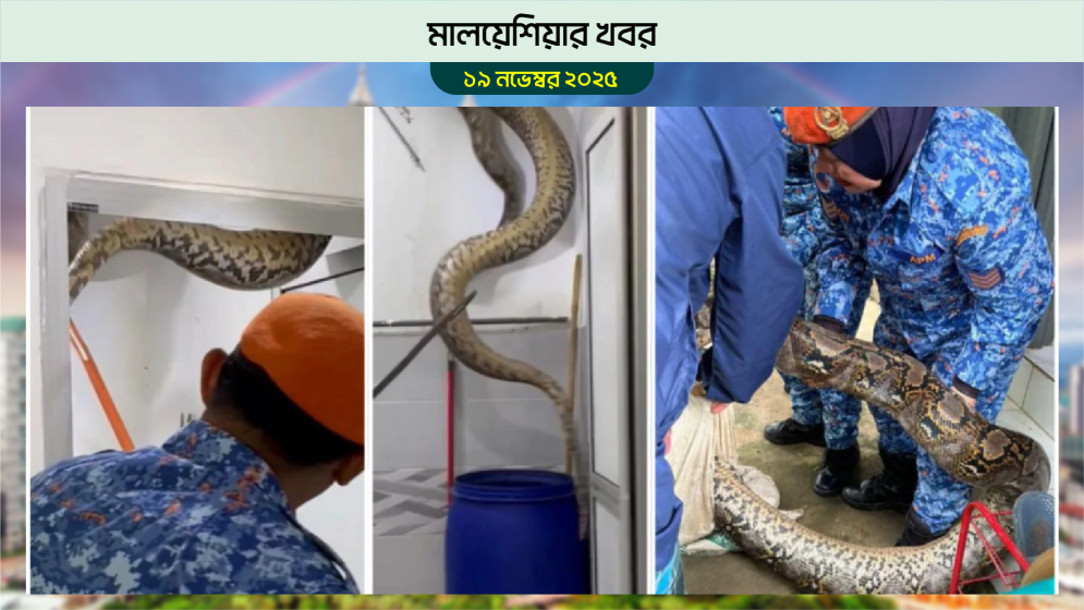 মালয়েশিয়ায় বাথরুমের ছাদ ভেঙে পড়ল বিশাল অজগর