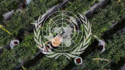 মালয়েশিয়ায় বাংলাদেশি অভিবাসী শ্রমিকদের শোষণ