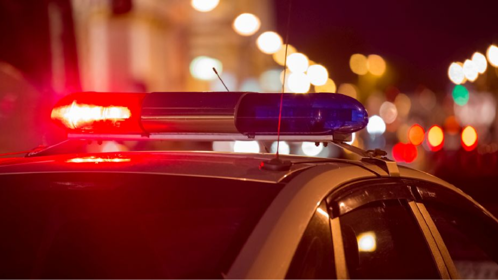 ইতালিতে মানব পাচার চক্রের ৭ জন আটক