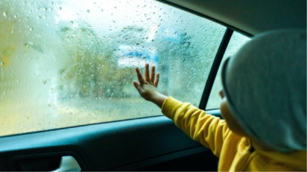 বাহরাইনে গাড়িতে শিশু ফেলে রাখায় চালক আটক