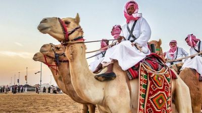 সৌদি আরবে উট উৎসবে বিদেশি পর্যটকের ভিড়