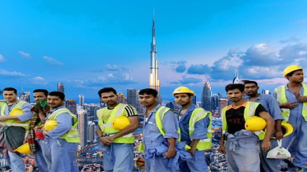 আমিরাতে ভিসা ট্রান্সফার সুবিধা চালুর দাবি প্রবাসীদের