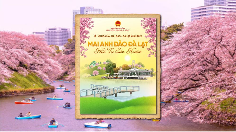 ভিয়েতনামে আসছে দা লাটে চেরি ব্লসম ফেস্টিভ্যাল ২০২৬