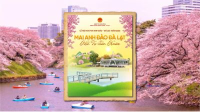 ভিয়েতনামে আসছে দা লাটে চেরি ব্লসম ফেস্টিভ্যাল ২০২৬