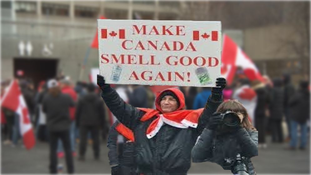 কানাডার টরন্টোতে অভিবাসনবিরোধী সমাবেশে পাল্টা বিক্ষোভ
