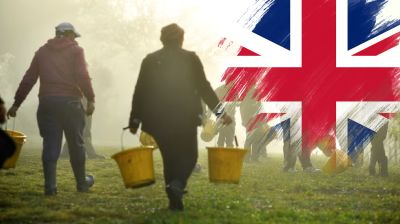 ব্রিটেনে অভিবাসীদের স্বেচ্ছাসেবা বাধ্যতামূলক করার প্রস্তাব
