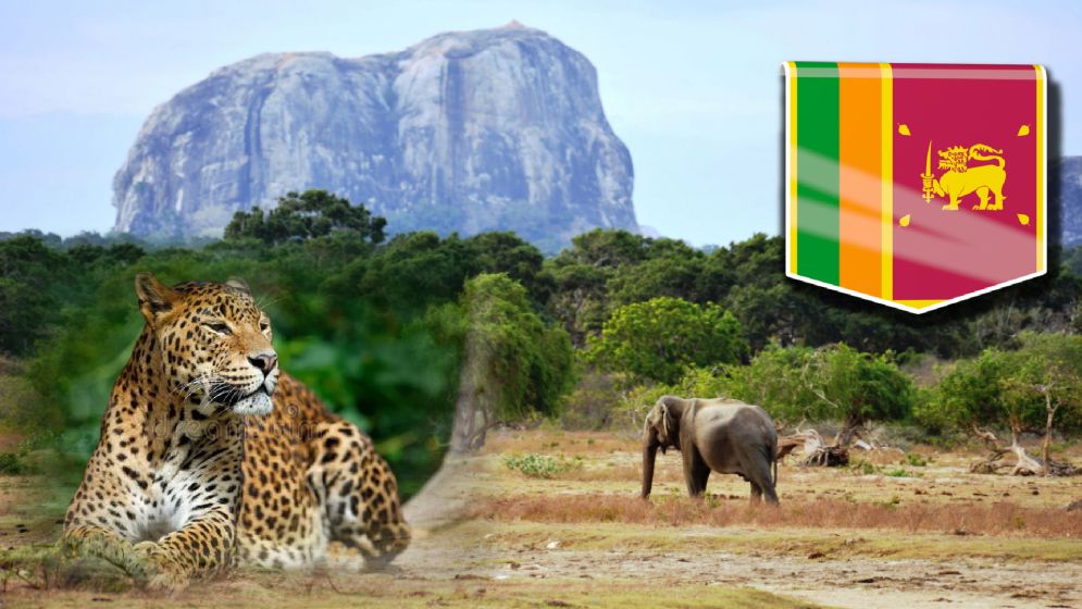 শ্রীলঙ্কার ইয়ালা ন্যাশনাল পার্ক পর্যটকদের জন্য সেরা অ্যাডভেঞ্চার