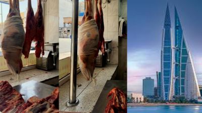 বাহরাইনে মাংসের বাজার ঠিক রাখতে আমদানি শুরু