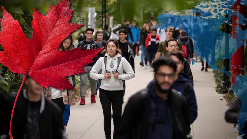 কানাডায় আন্তর্জাতিক শিক্ষার্থী আগমন কমেছে ৬১%