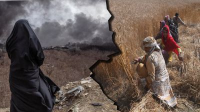 গালফ সংকটে বিপাকে দক্ষিণ এশিয়ার কৃষকরা