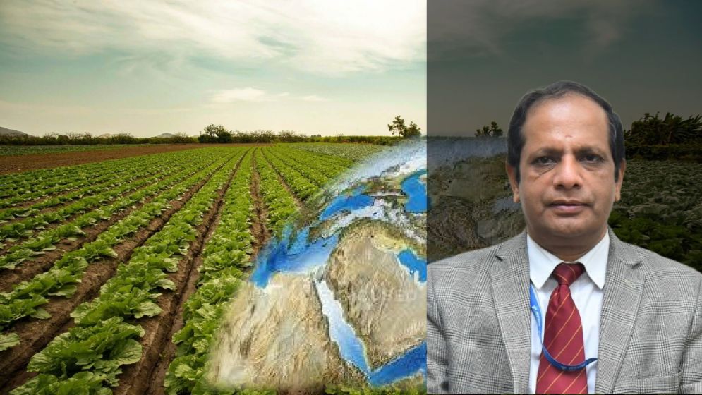 ইরান যুদ্ধের প্রভাব: সার সংকটে বৈশ্বিক খাদ্য ব্যবস্থায় চাপ