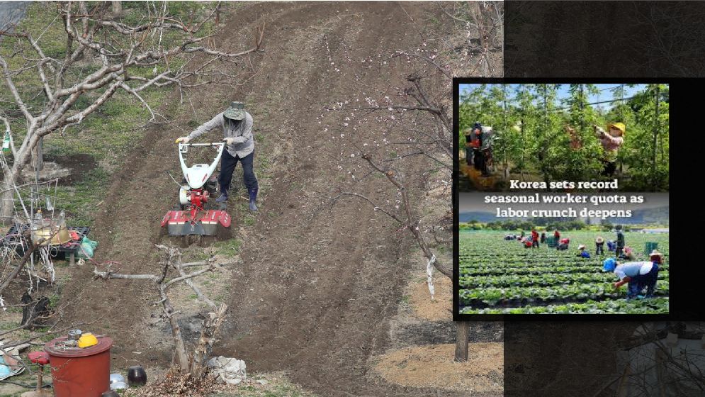 কোরিয়া কৃষি খাতে রেকর্ড বিদেশি মৌসুমি কর্মী নেবে