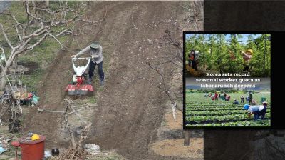 কোরিয়া কৃষি খাতে রেকর্ড বিদেশি মৌসুমি কর্মী নেবে