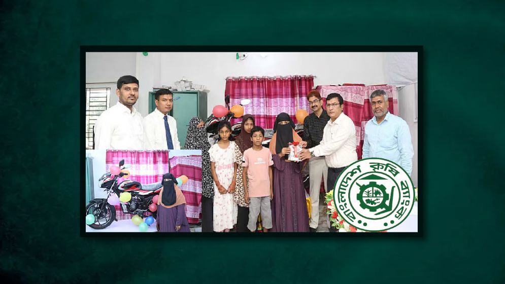 প্রবাসী স্বামীর পাঠানো রেমিট্যান্সে ভাগ্য খুলল ফরিদপুরের গৃহিণীর