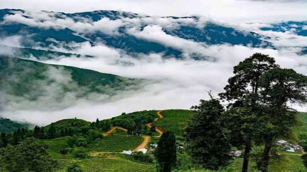 দার্জিলিংয়ের নির্জন গ্রাম মাজুয়া: পাহাড়-ঝর্ণা-নদীর সহাবস্থান