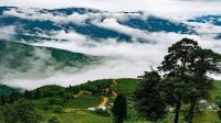 দার্জিলিংয়ের নির্জন গ্রাম মাজুয়া: পাহাড়-ঝর্ণা-নদীর সহাবস্থান