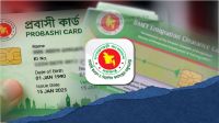 প্রবাসী কার্ড বনাম বিএমইটি ছাড়পত্র: কোথায় কী সুবিধা?