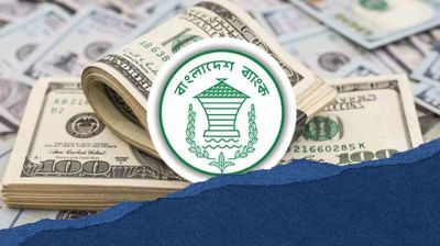 ১৪ দিনে প্রবাসীরা দেশে পাঠালেন ১৫২ কোটি ৬০ লাখ ডলার