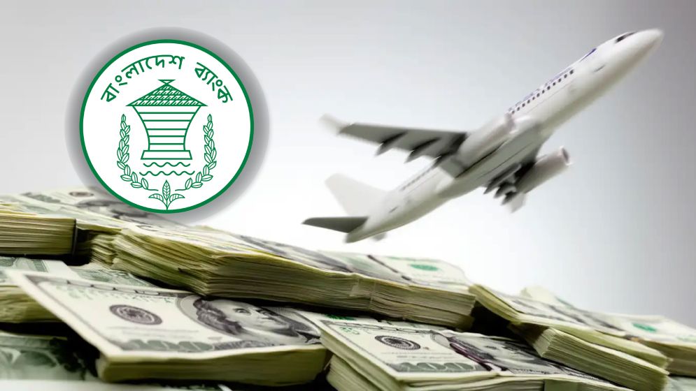 বিদেশ ভ্রমণে কত পরিমাণ ডলার সাথে নেওয়া যাবে?