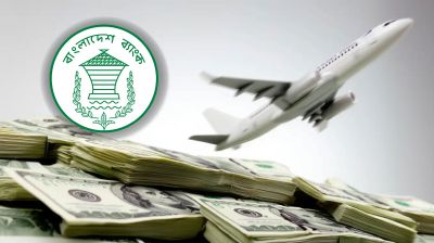 বিদেশ ভ্রমণে কত পরিমাণ ডলার সাথে নেওয়া যাবে?